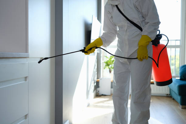 Why You Should Choose Our Mold Remediation Services in Blue Ridge, GA